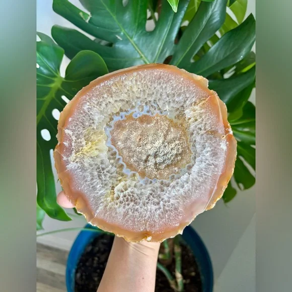Agate Half Geode - Picture 3 of 5